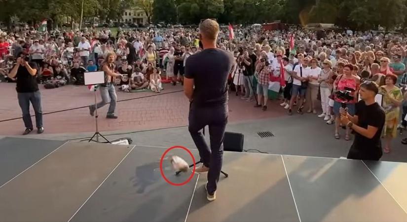 Nem sörösdobozt, hanem egy zacskó szotyit dobtak felé, rögtön merénylethez hasonlítja Magyar Péter azt, ami vele történt (VIDEÓ)