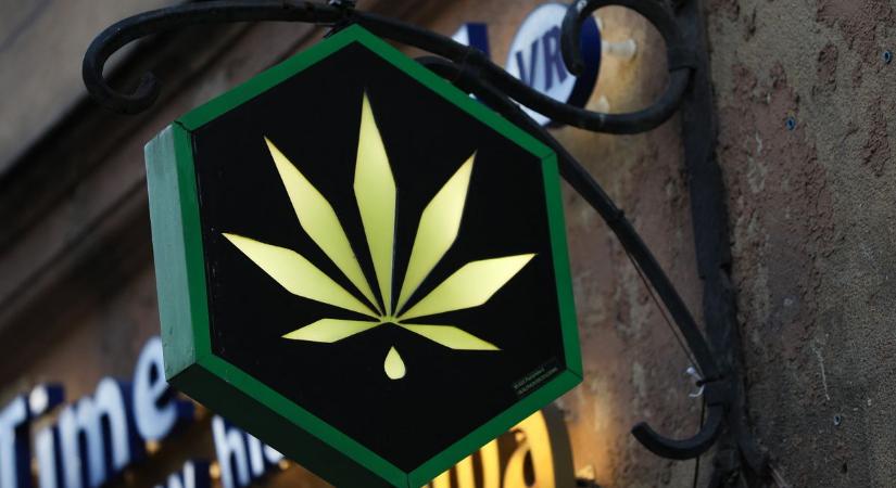Kudarcba fulladó kísérlet – a német legalizáció megbukott