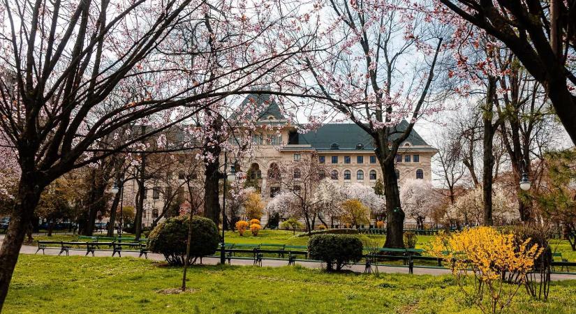 Főpolgármestert keres Bukarest
