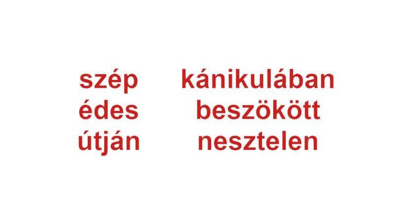 Műveltségi teszt, magyar irodalom: 2 kötelező vers 20 szava között megtalálja a 2 kakukktojást 20 másodperc alatt?