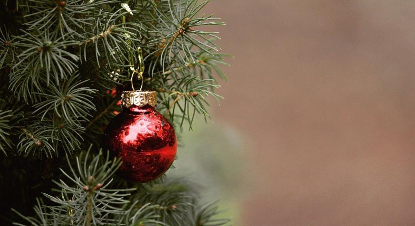 Legyen munkaszüneti nap december 24-e? Hamarosan jöhet a népszavazás!