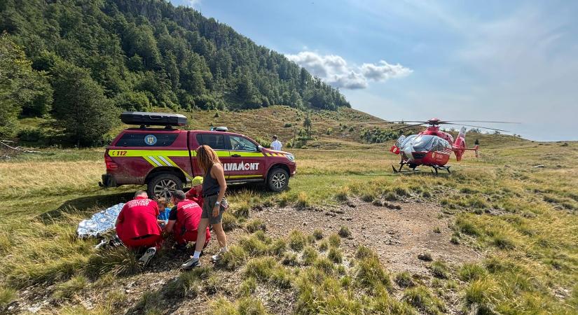 Kígyómarás a hegyen – Mentőhelikoptert küldtek a gyermekért