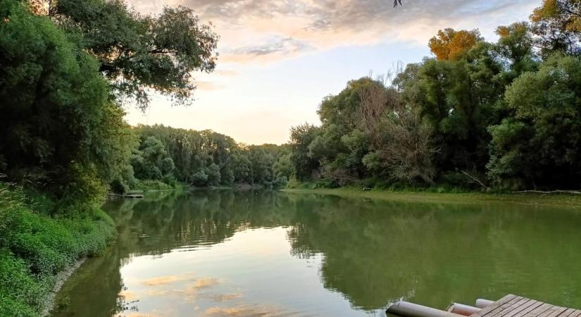 4 km-es Duna-parti tanösvény a nagytétényi ártéri erdőben