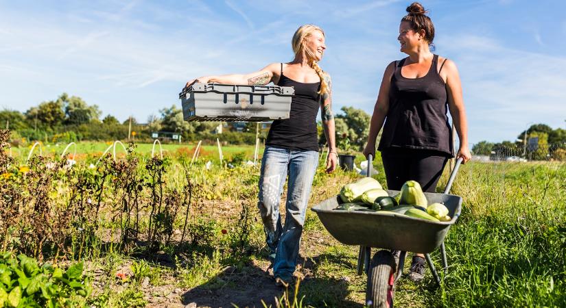 Elbukhatja a támogatást, aki nem tartja be ezt az új szabályt