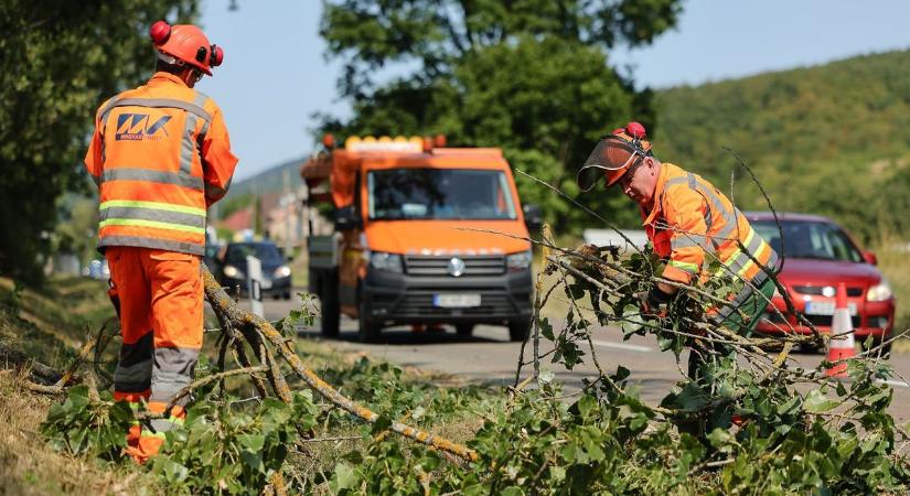 Belemart a vihar Hevesbe, a 24-es főút még a károkat nyögi – fotókkal