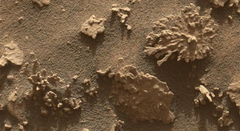 Ősi víz jelenlétére utal egy nagyon furcsa szikla, amit most talált meg a NASA a Marson