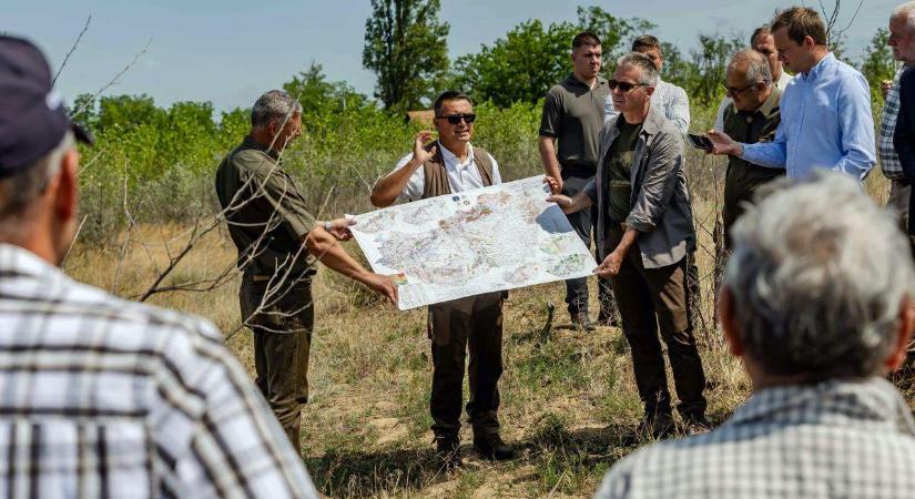 Fennmaradásuk érdekében szükséges az erdők ökológiai vízpótlása