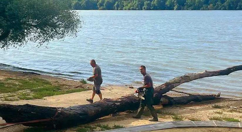 Tilos a fürdőzés a Duna verőcei, alsógödi és felsőgödi szakaszán