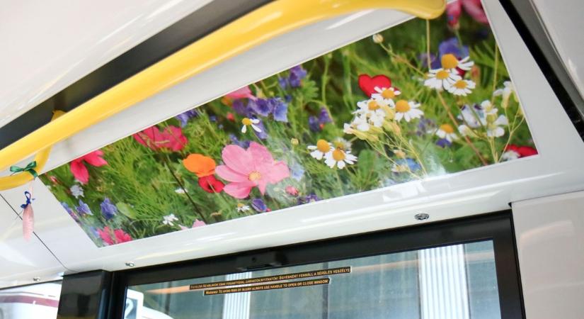 Meglepő dolog történt a miskolci villamosokon – ezt most érezni is lehet!