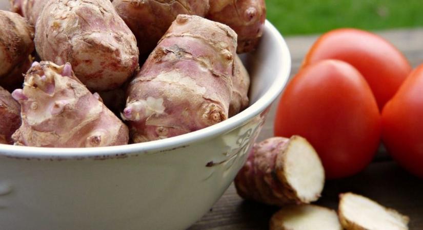 Csicsóka, az elfeledett superfood, ami csodát tesz a testeddel