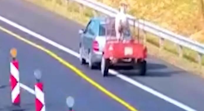 Radar – Megdöbbentő felvétel: illegális ló szállítás az M7-es autópályán  videó
