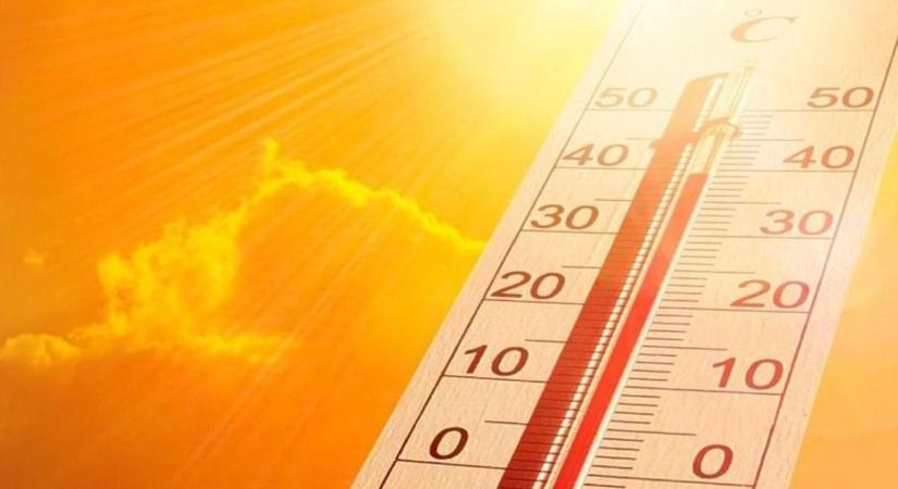 Légköri aszály és hőstressz vár a növényekre az érkező kánikulában