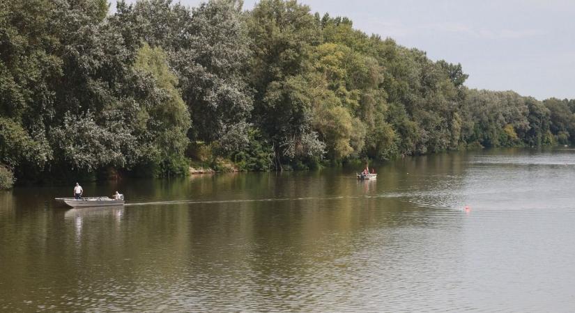 Jó ég, mit halásztak ki már megint a Tiszából! Fotókon az állat, aminek itt sem kéne lennie!