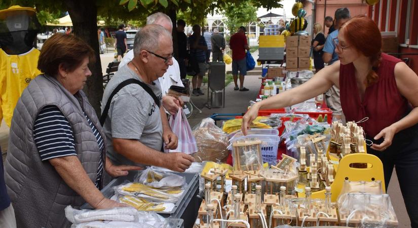 Rekordméretű méhpusztulás sújtja a jászsági méhészeket is, a túlélésért küzdenek