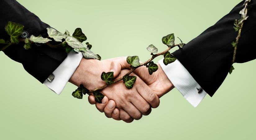 Egyszerűsítést kaptak ezek a magyar cégek: ez sokakat érinthet itthon