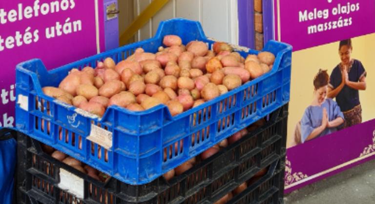Egy szegedi masszázsszalon ingyen krumplit ígér minden betérő vendégnek