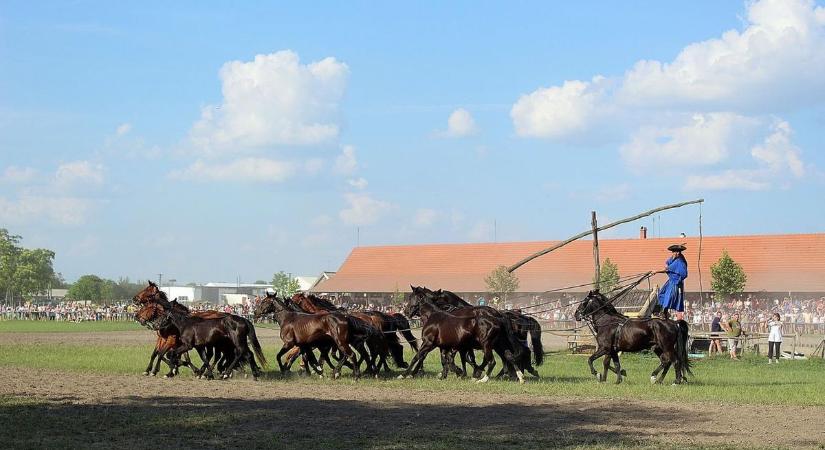 Ezt az 5 rekordot még a Bács-Kiskunban élők sem ismerik, pedig beírták a megyét a nagykönyvbe