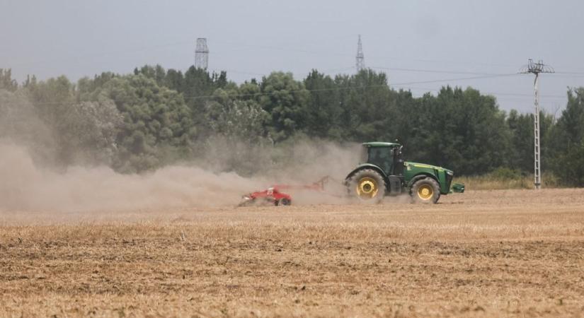 Drasztikus hőség jön a következő hetekben, még kritikusabb helyzetbe kerülhet az Alföld mezőgazdasága