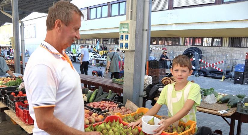 Zalában kedvező áron adják! Édes, finom, s a rák ellenszere, ám még kevesen fogyasztják