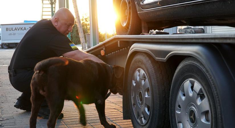 A kárpátaljai vámhatóság szolgálati kutyái drogokat, fegyvereket és valutát találtak a járművekben