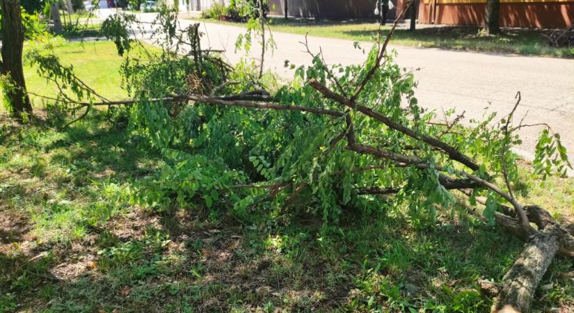 Szüntelenül dolgoznak a szakemberek a viharkárok elhárításán