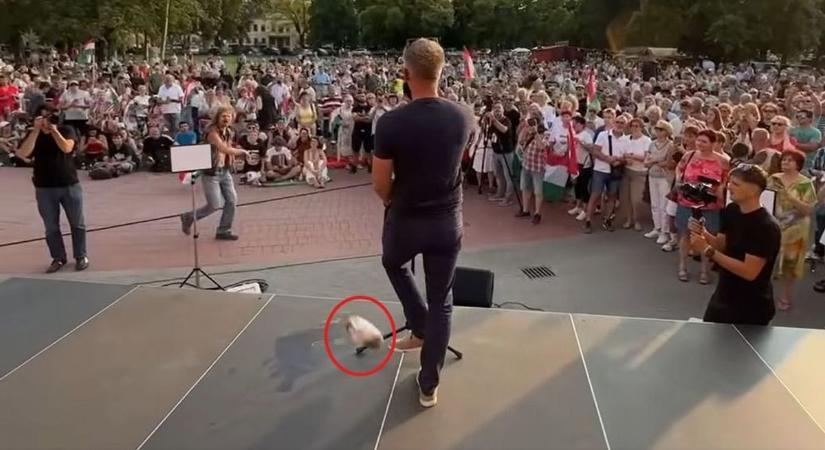 Lehullt a lepel a „merényletkísérletéről”: ezért repült szotyis zacskó a TISZA-vezér lába elé
