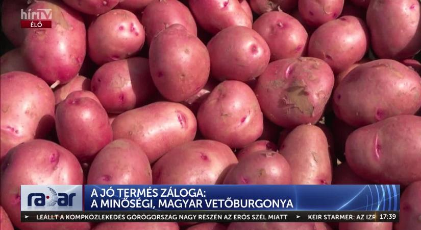 Radar - Hazai nemesítésű kiváló burgonyafajták  videó