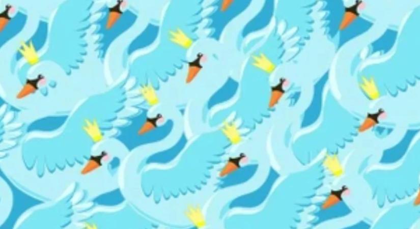 Egy zseni vagy, ha 25 másodperc alatt kiszúrod a korona nélküli hattyút a képen