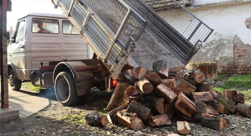 Házaló mesterek, tűzifa-trükkösök, késélező szélhámosok – igazából pofátlan csalók