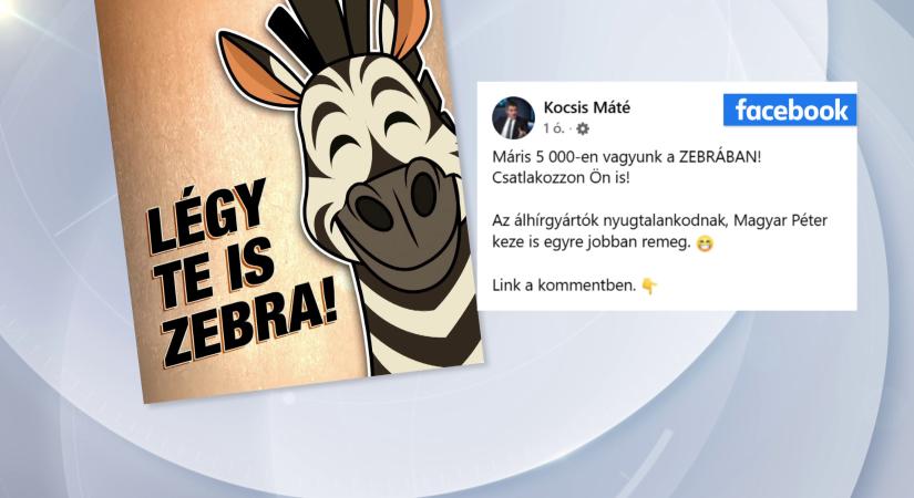 Már 5 ezren csatlakoztak a ZEBRA digitális polgári körhöz