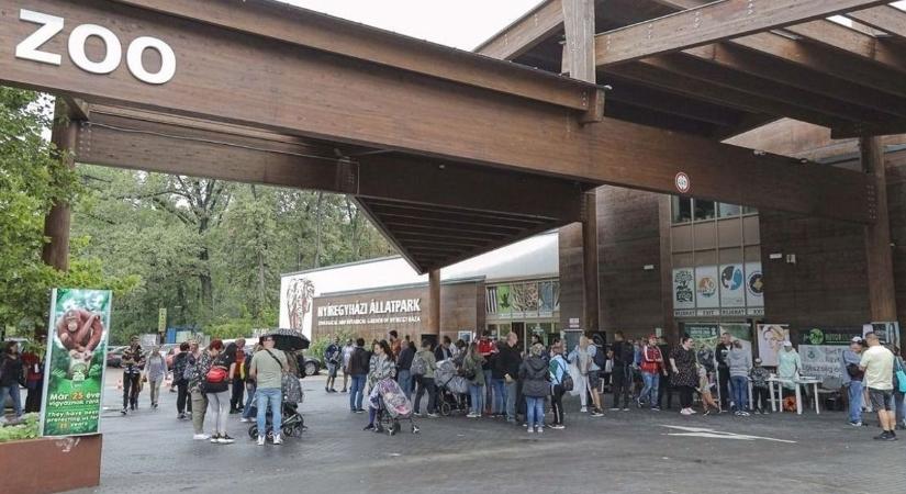 Újabb szenzáció! Különleges állatokkal bűvölt a Nyíregyházi Állatpark! (videó)