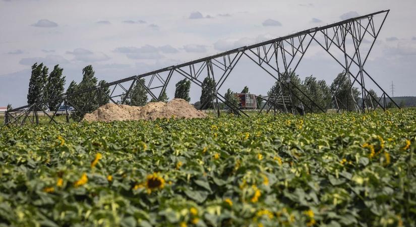 Sokaknak feltűnt a viharos debreceni éjszaka után kidőlt oszlop, megvan rá a magyarázat