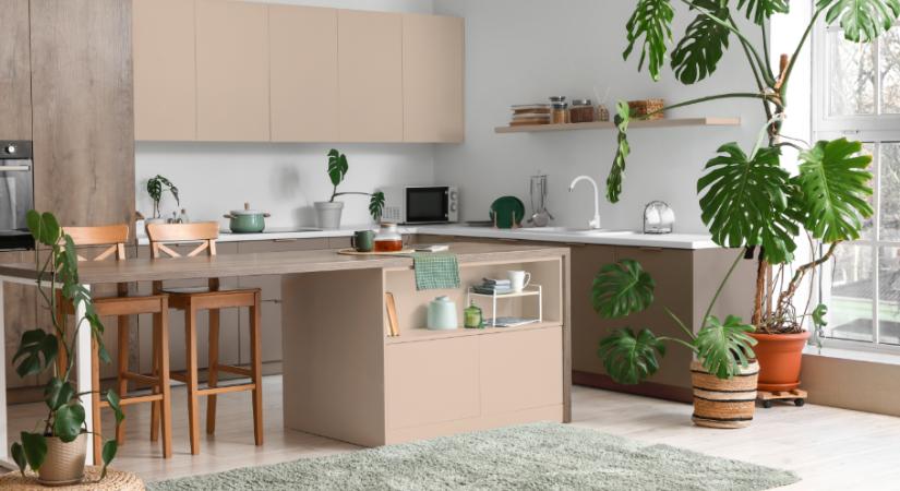 Ez a legnagyobb hiba, amit a konyhában elkövethetsz a Feng Shui szerint