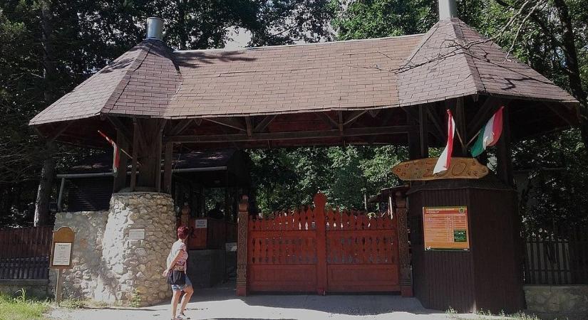 Döntse el, ki legyen a hónap állata Miskolcon!