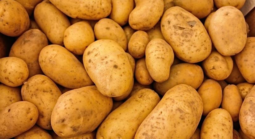 Paradicsomból született a magyarok kedvenc kampányeledele