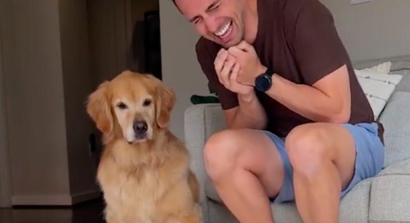 Meglátja a férfi, hogy reagál a golden retriever a rap-számra, és képtelen abbahagyni a nevetést - Videó