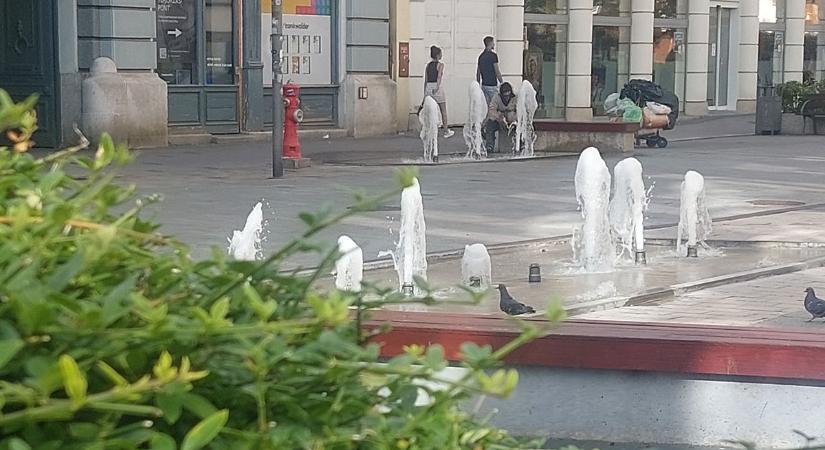Olvad a belváros, tucatjával lepték el... (fotókkal)