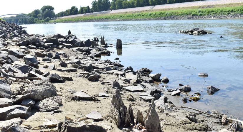 Baj van a Tiszával: a folyó több szakaszán is szomorú adatokat mérnek – mutatjuk a számokat!
