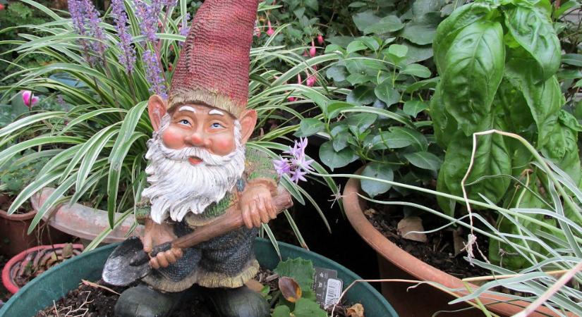 Megmondom a növényednek, hol laksz! – Mit árul el rólad a balkonod?