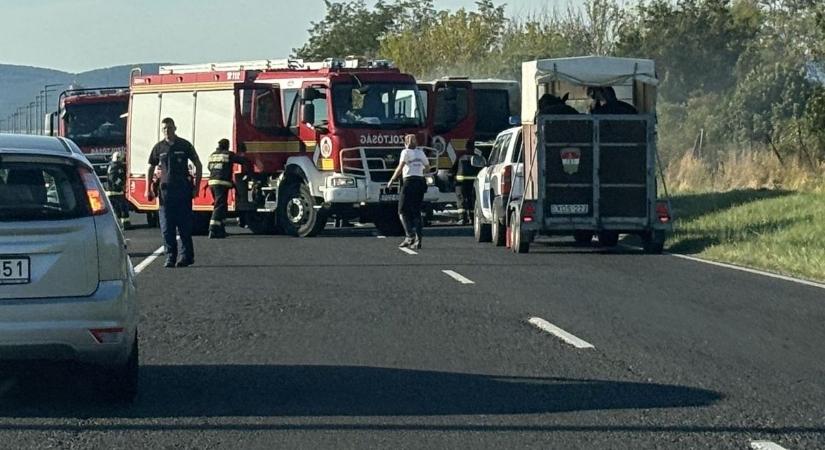 Kigyulladt egy autóbusz motortere a 73-as főúton, Veszprémnél ( fotók)