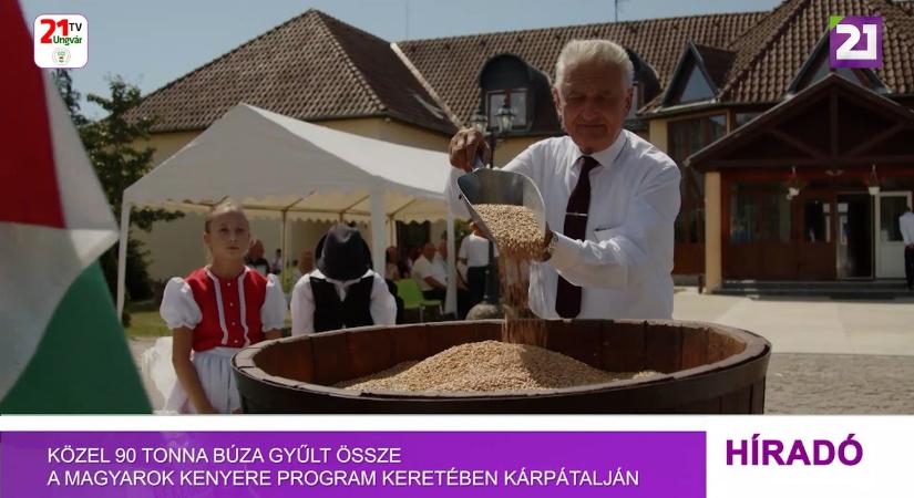 Közel 90 tonna búza gyűlt össze a Magyarok Kenyere program keretében Kárpátalján (videó)