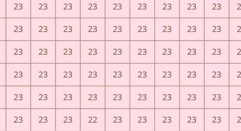 Rejtvény: elképesztően éles a látásod, ha 10 másodperc alatt megtalálod a 23-asok között a 22-est