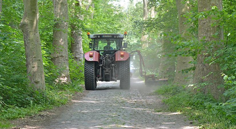 Enyhe hidegfront enyhíti a forróságot, de jön az újabb hőhullám