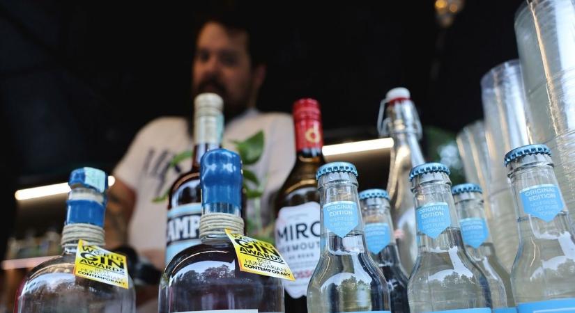 Tökéletes nyáreste prémium ízekkel: így bulizott Miskolctapolca a Gin & Gasztro Fesztivál második napján - fotókkal, videóval