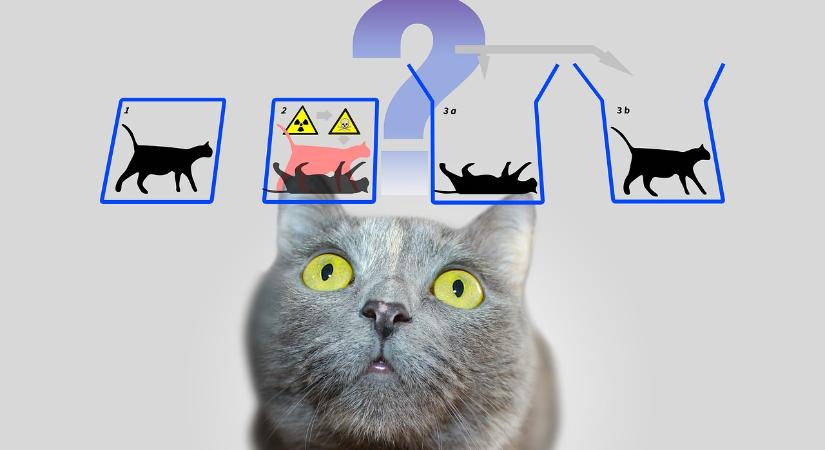 Schrödinger macskája - a híres gondolatkísérlet új formát öltött