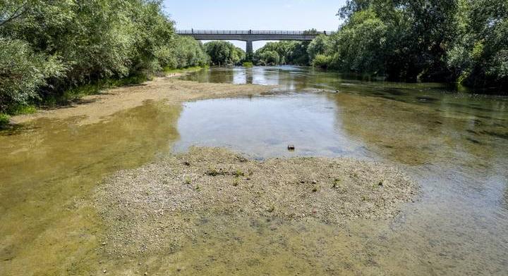 Értékes növény bukkant fel a magyar nemzeti parkban: valóságos szenzáció, hogy hol találtak rá