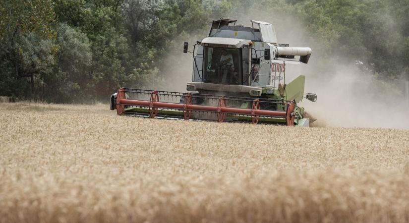 Újra felbukkant az aflatoxin Somogyban? Ez a veszély fenyeget!