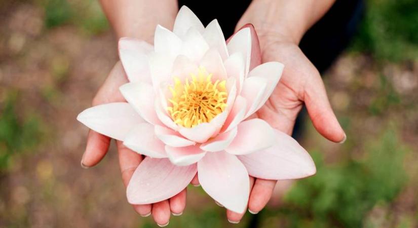 Tényleg segít a menstruációs görcsökön a jónigőzölés? Wellnessguruk ezrei ajánlják a neten