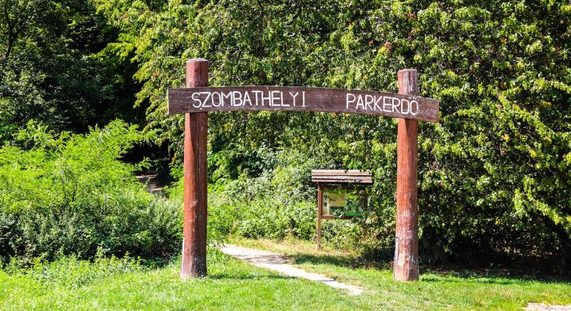 Mit lát egy turista, ha kimegy a Szombathelyi Parkerdőbe? Körülnéztünk! - fotók