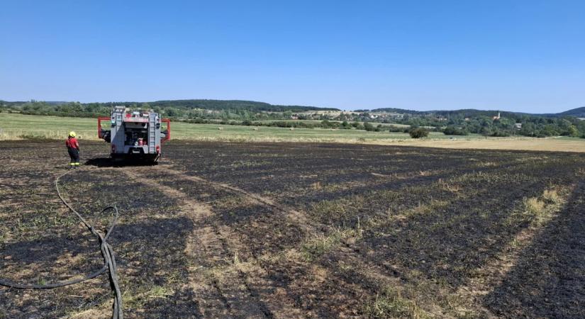 Két hektáron tombolt a tarlótűz, több vízsugárral fékezték meg a lángokat ( fotók)